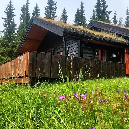 Lodge Fjellkvil - 8 Persons Cabin In Valdres